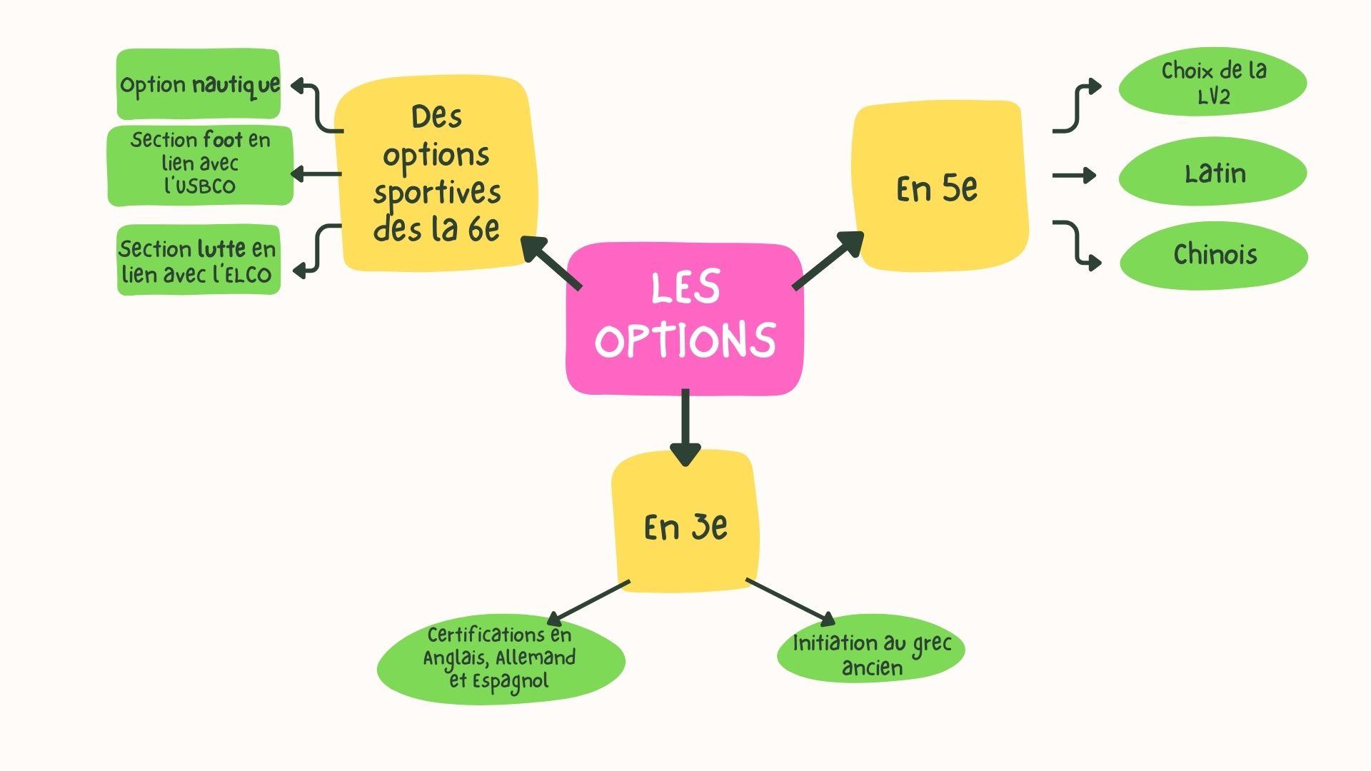 options.jpg